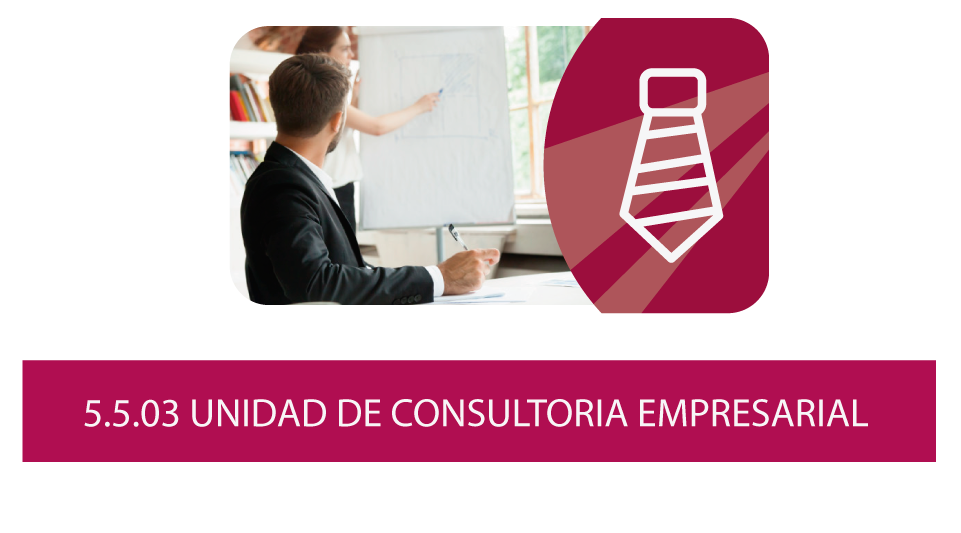 Plan Desarrollo Institucional Eje 5 Programa 5